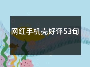 網(wǎng)紅手機(jī)殼好評(píng)53句