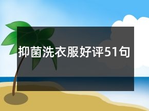 抑菌洗衣服好評51句