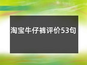 淘寶牛仔褲評價53句
