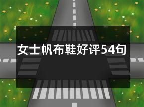女士帆布鞋好評54句