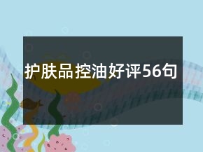 護(hù)膚品控油好評56句