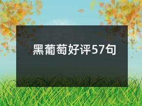 黑葡萄好評57句