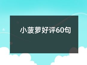小菠蘿好評60句