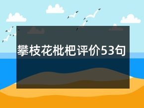 攀枝花枇杷評(píng)價(jià)53句
