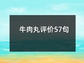 牛肉丸評價57句