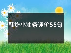 酥炸小油條評價55句