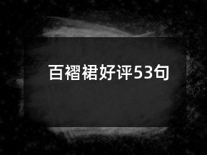 百褶裙好評53句