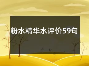 粉水精華水評價(jià)59句