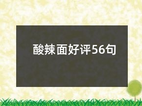 酸辣面好評56句