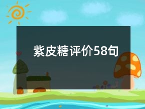 紫皮糖評(píng)價(jià)58句