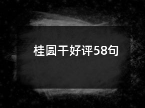 桂圓干好評58句