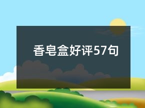 香皂盒好評57句