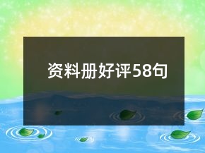 資料冊好評58句