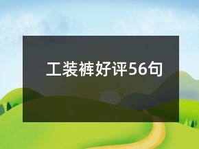 工裝褲好評56句