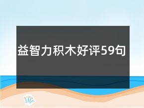 益智力積木好評(píng)59句