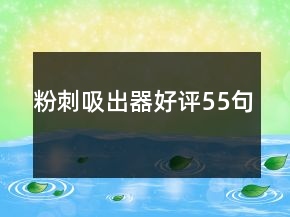 粉刺吸出器好評55句