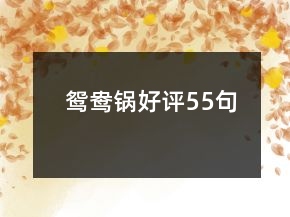 鴛鴦鍋好評(píng)55句