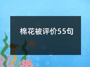 棉花被評價55句