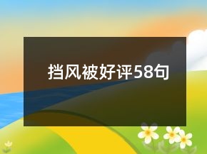 擋風(fēng)被好評58句