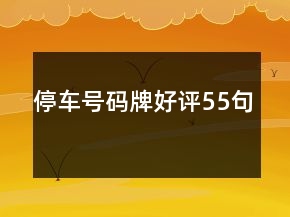 停車號碼牌好評55句