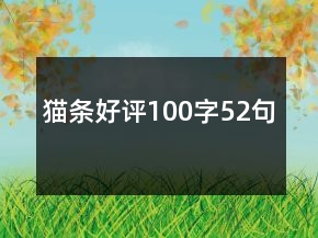 貓條好評100字52句
