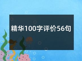 精華100字評(píng)價(jià)56句