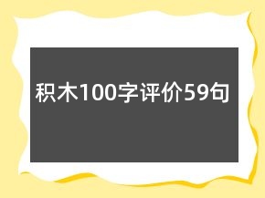 積木100字評價59句