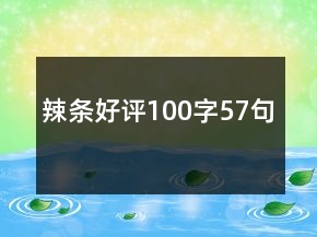 辣條好評(píng)100字57句