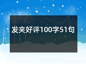 發(fā)夾好評(píng)100字51句