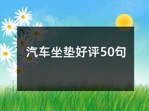汽車坐墊好評(píng)50句