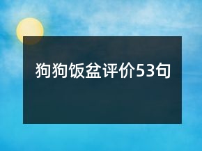 狗狗飯盆評價53句