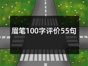 眉筆100字評價(jià)55句