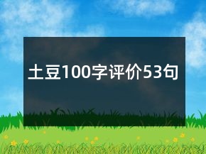 土豆100字評價53句