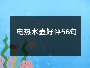 電熱水壺好評(píng)56句