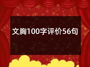 文胸100字評價(jià)56句