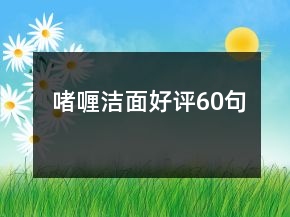 啫喱潔面好評60句