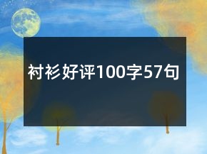 襯衫好評100字57句