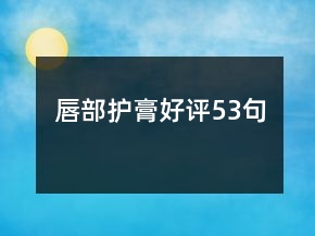 唇部護(hù)膏好評(píng)53句