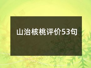 山治核桃評(píng)價(jià)53句