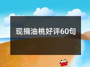 現(xiàn)摘油桃好評60句