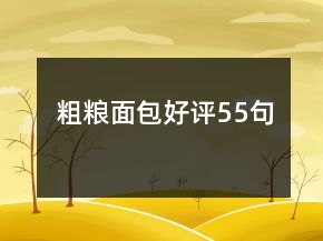 粗糧面包好評55句
