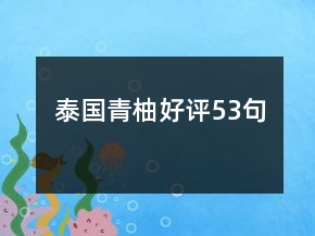 泰國青柚好評53句
