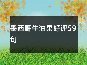 墨西哥牛油果好評(píng)59句