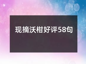 現(xiàn)摘沃柑好評58句
