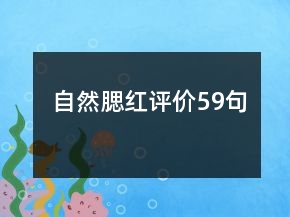 自然腮紅評(píng)價(jià)59句