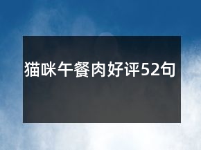 貓咪午餐肉好評52句