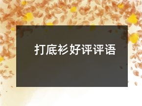 打底衫好評評語