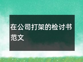 在公司打架的檢討書范文
