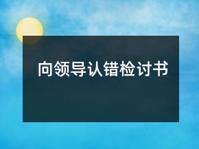 向領(lǐng)導(dǎo)認(rèn)錯(cuò)檢討書