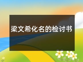梁文?；臋z討書